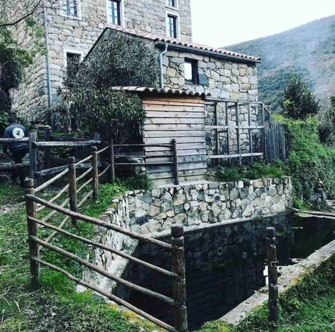 Casa Arena Authentique Maison De Village Avec Piscine Au Coeur De L'Alta Rocca - Zoza Exterior photo